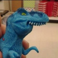 NONE (@r4nitex) 's Twitter Profile