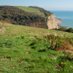 Love Hastings Country Park Nature Reserve (@hastingssave) Twitter profile photo Love Hastings Country Park Nature Reserve (@hastingssave) Twitter profile photo