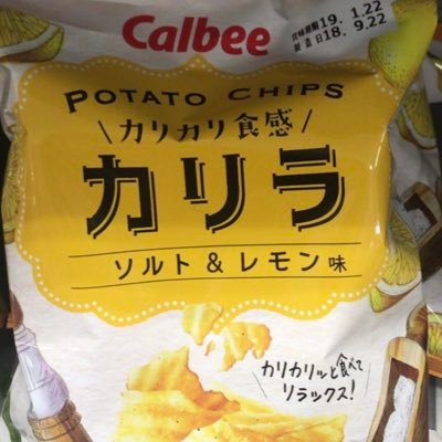 カメラが趣味のオタク/推しが尊い