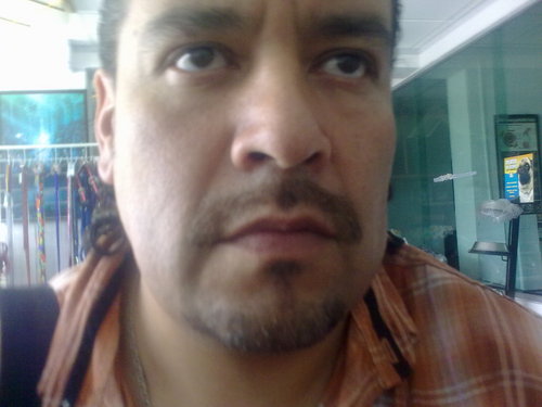 DIA A DIA TODOS.LOS.DIAS