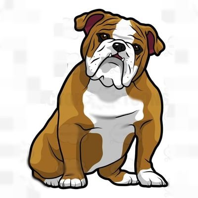 #English_Bulldog is everyone's favorite pet. #English_Bulldogs are dear to everyone and loved by everyone. One of the best breeds in history.