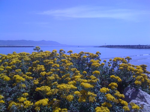 dassunclaud's profile picture. HUMANITY RATHER THAN POLITICS!