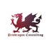 Pendragon Consulting LLC Pendragon Consulting LLC
