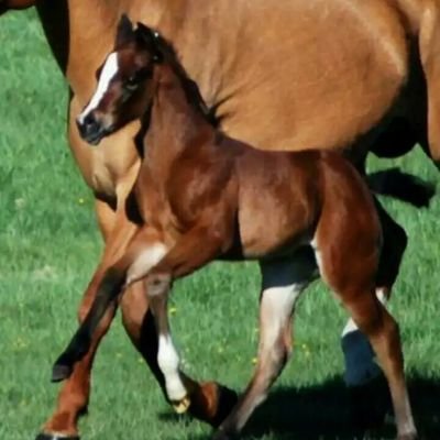 3zLWhTSFp70vyNX's profile picture. عاشق الغرام