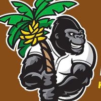 GorillaBaseballAcademy (@gorillabpd) 's Twitter Profile