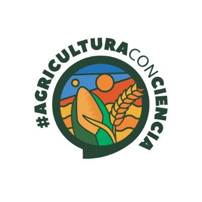 Promovemos, desde @ACCimmyt, adopción de técnicas de agricultura sustentable para sistemas de producción de trigo, maíz y cultivos asociados. Hub Pacífico Nte.
