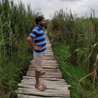 Arindam Majumder(@ari_maj) 's Twitter Profile Photo