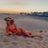 Cristi_Reyes96's profile image