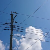 trd_kzs@ツイフィ有(交換用) (@kzstrd) Twitter profile photo