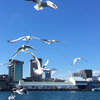 z50svgPxef5t8VO's profile picture. 2022年から平日は1日1食、自炊、5分間の筋トレ。添加物を意識して体質改善。なるべくグルテンフリー。味付けは天然塩、小麦ナシ醤油。飲料はシリカ水。 今まで添加物、人工甘味料意識してなかったけど自分の体で実験中。 また、フラットアースやマッドフラッドに興味あり。 趣味はウィンドサーフィン。