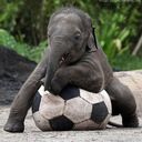 Bronwyn Wright - @BrillantBronwyn - Twitter