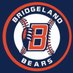 Bridgeland Baseball (@BridgelandBsb) Twitter profile photo