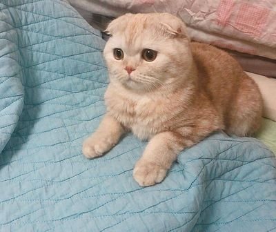 Huyn60266391's profile picture. 