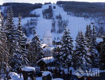 vailskireport's profile picture. Powder alerts and the latest ski conditions at Vail courtesy of http://t.co/PskFArKccb.