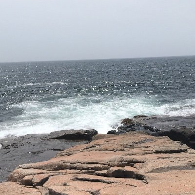 Oneliner84's profile picture. Keeping things simple