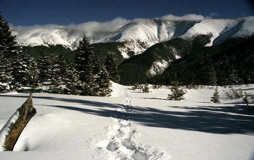 Powder alerts and the latest ski conditions at Winter Park courtesy of http://t.co/lFTOI0YAwI.