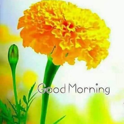 Adhayan3's profile picture. 