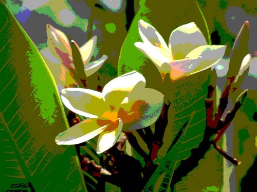 twitericia's profile picture. Artist and creator of many things. Believes in love. Also tweeting at @healingcre8ions ❤️