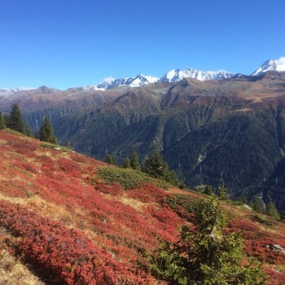 pjverleg's profile picture. gepensioneerd