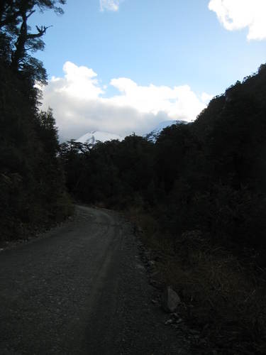 Caustral's profile picture. 