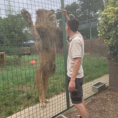 bneeco89's profile picture. commercial kitchen fitter, formulat 1 fan, volunteer @thebigcatsanctuary