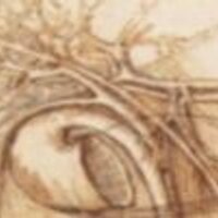 Prof. MP Manns (@gastromhh) 's Twitter Profile