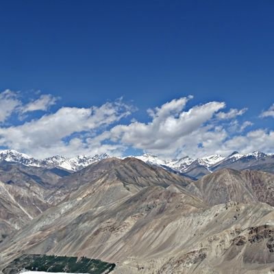 neodelite's profile picture. 