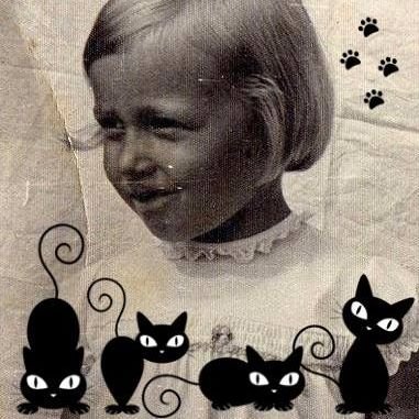 dorota hajewska🐾 Profile