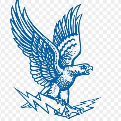 airforce_indian's profile picture. Unofficially Official Account for Indian Airforce Gymnastics fraternity 🤸🤸