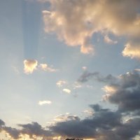 Dilek (@hisleryokolmus1) 's Twitter Profile