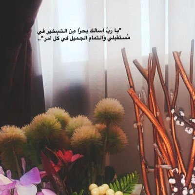 noladossary's profile picture. 