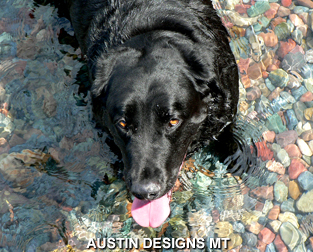 Austin Designs is Advertising and Promoting Montana World Wide! Visit our website to learn more..advertising and promoting Montana since 1987.