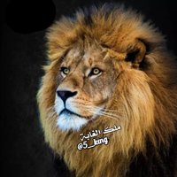 ملك الغابة (@5__king) 's Twitter Profile Photo ملك الغابة (@5__king) 's Twitter Profile Photo
