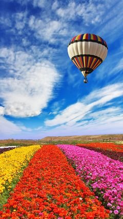 OrianaSerrano15's profile picture. Dios es Perfecto. Te Amo Señor Gracias por tu Amor y Misericordia. Te Amo