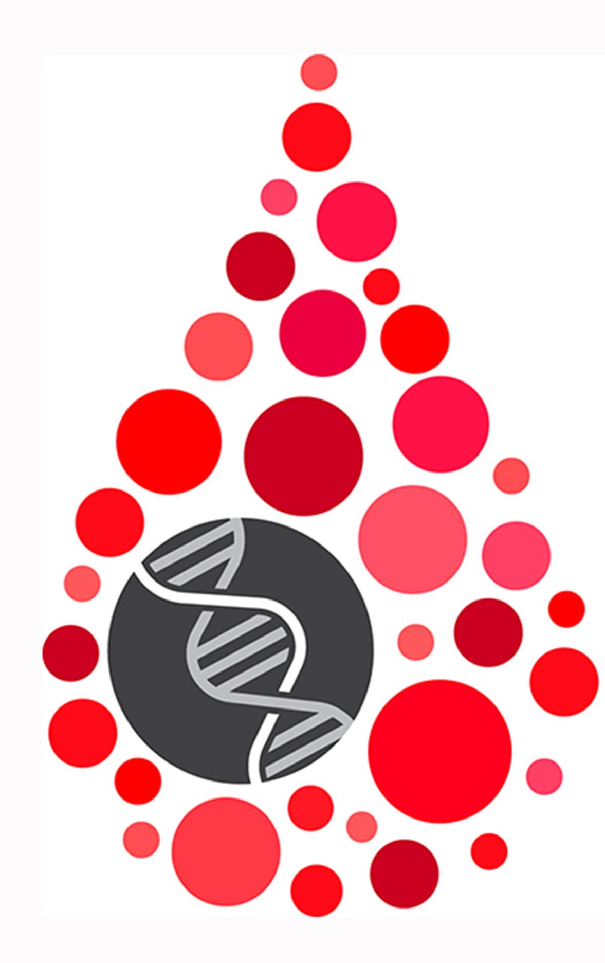 CCDR Profile