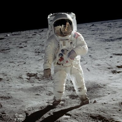 ZeeRogi's profile picture. @PPNLabs @syntetika_io