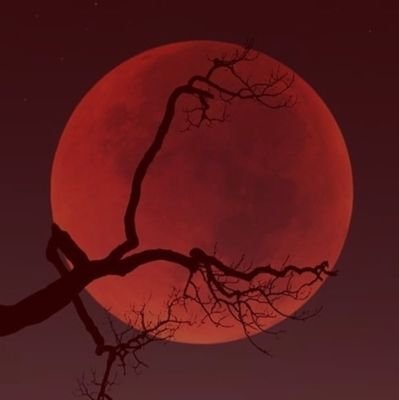 AltSatellite's profile picture. Dark side of the moon