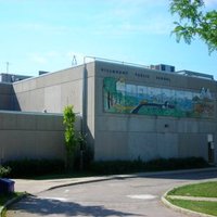 Hillmount Public School(@TDSB_Hillmount) 's Twitter Profileg