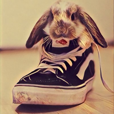 Shoebunny