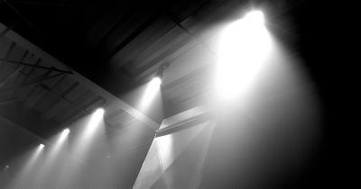 Rodrigo97510805's profile picture. 