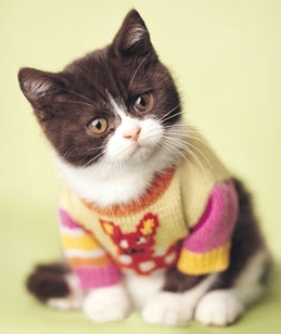 saricaisinlove's profile picture. 