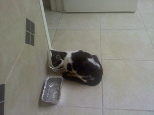 aggietwin1979's profile picture. 