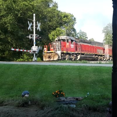 mattscheer1997's profile picture. redpanda sayian Prince  mattanatior97  railfanner and minecrafter.mattanatior97 gaming.Look Listen Live!