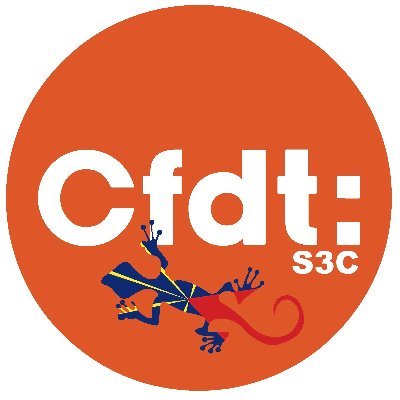 Syndicat CFDT Conseil Culture Communication - Ile de la Réunion