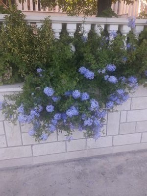 MohcsiGabi's profile picture. ridikul imádó vagyok