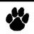 loweythebear's profile image
