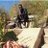 Selby_Sbee's profile image