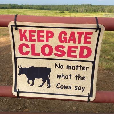 skindo1's profile picture. The road for Progressives in the Democratic Party leads to the Graveyard