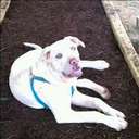 DylanSutherland - @DylanSutherland - Twitter