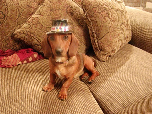 iamrobincarlos's profile picture. 